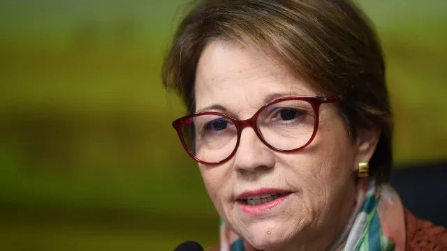 Tereza Cristina: Senadora é cotada para vice de Flávio e integra instituto